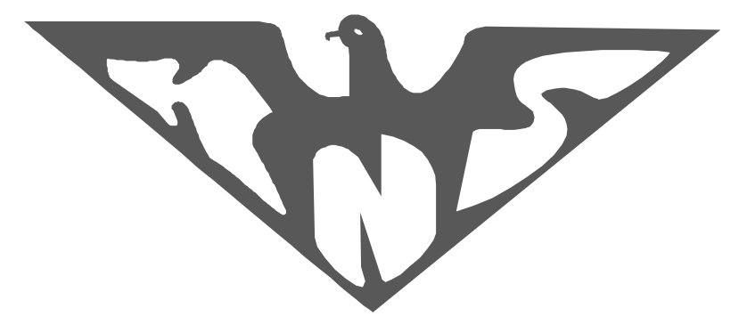 KNS Money